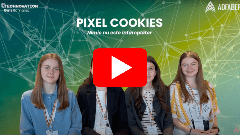 Echipa Pixel Cookies, Senior